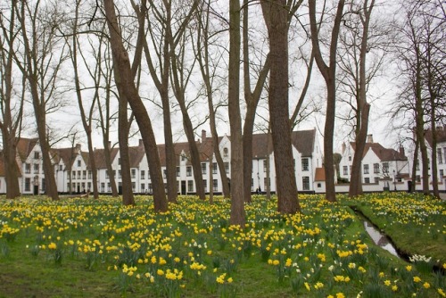 Beguinage, Bruges, Belgium, March 2019 