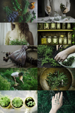 skcgsra:  herbalist aesthetic (requested)