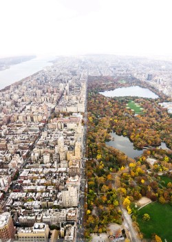 newyorkcityfeelings:  New York from above