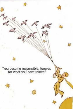 solslittlewindow:  &ldquo;The Little Prince&rdquo;, by Antoine de Saint-Exupéry My favoritest quote in the whole wide world. &ldquo;Taming&rdquo; (even innocently and in friendship), and the emotional responsibilities it incurs, isn’t to be taken lightly.