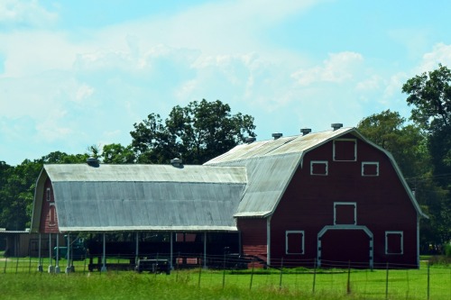 Now that is one BIG barn!   Along the side of the highway somewhere in Louisiana.  Navigator’s been 