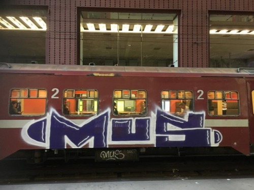 #belgiumgraffiti #paintedtrains #traingraffiti #graffititrain #benching #trainbombing #trainart #rai