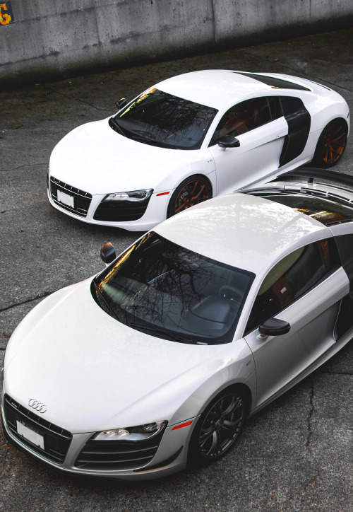 thelavishsociety:Dynamic Duo by Dylan King | LVSH