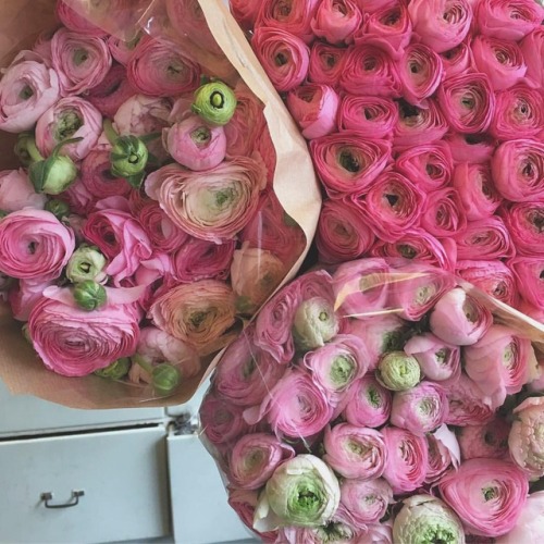 One of my favourite florists to follow on Instagram, and she&rsquo;s rather lovely too! @leafycoutur