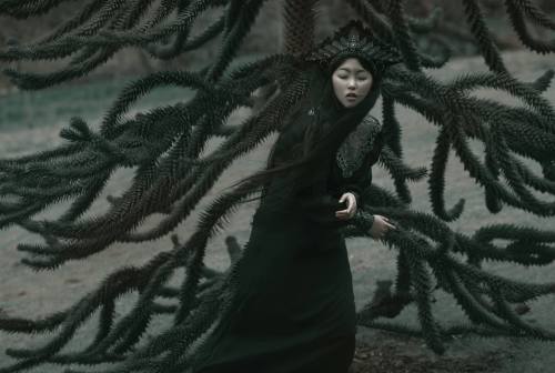 lamus-dworski:Fairytale world photographed by Agnieszka Lorek / A.M.Lorek Photography