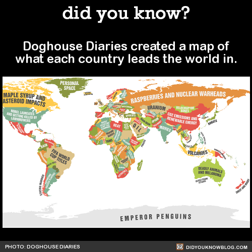 did-you-kno:  Doghouse Diaries created a map of what each country leads the world