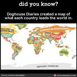 Did-You-Kno:  Doghouse Diaries Created A Map Of What Each Country Leads The World