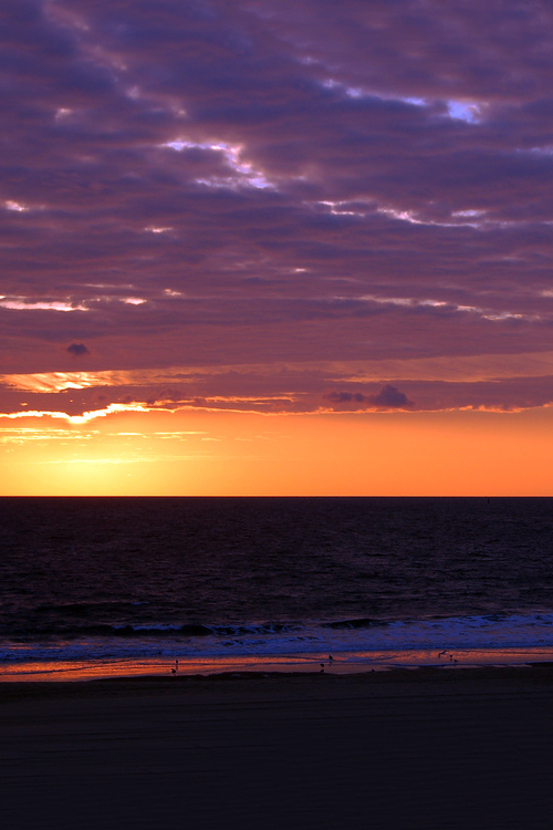 asthmas:  Ocean City Sunrise© Eric Tousignant / Flickr 