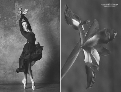 XXX vintagepales: “Ballerina and Flowers" photo