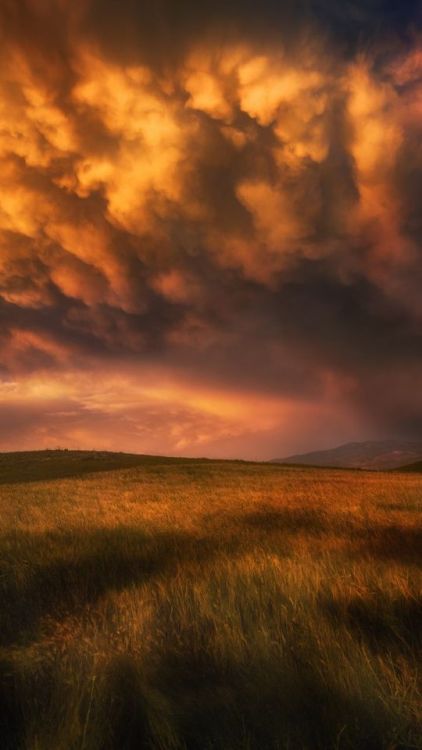 Clouds, stormy day, sunset, landscape, 720x1280 wallpaper @wallpapersmug : https://ift.tt/2FI4itB - 