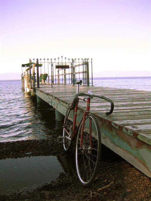 squeekycleandave:  degeneratescycling:  Summer 2006 was super fun.  That.