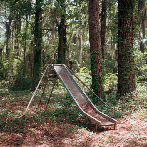 lowcountry-gothic:Kudzu at NightSlideNorth Druid Hills Frostop Nolan Store RoadOvertaken HouseBy&nbs