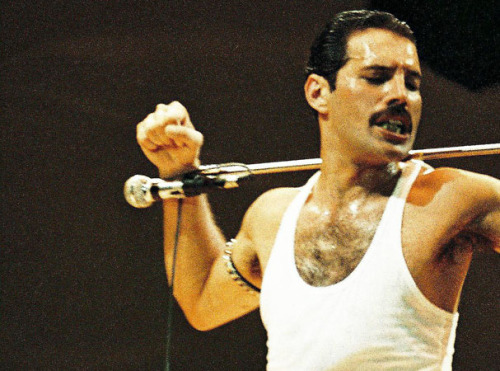 thereismorethanflesh:  To the man who was a legendTo the man who rocked harder than anyone beforeTo the man with one of the greatest voices this world has knownTo the man who thought his legacy would sputter out after he diedYou are missed more than you