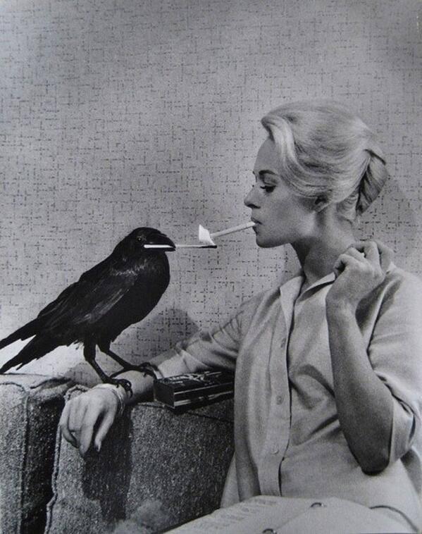 theactofhistory:  Tippi Hedren having her cigarette lit by a crow on the set of “The