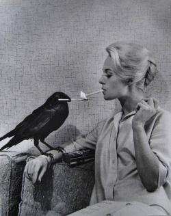 theactofhistory:  Tippi Hedren having her