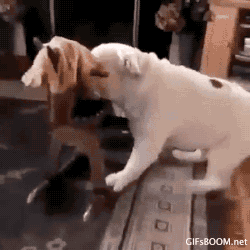 b52buzz:  aquariusplanet:  likes this ♥  giddy up! 