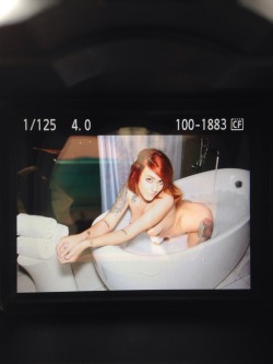 lesbiansandcats:  A photo I shot with CDO while goofing around the suite!   Can’t wait to show you guys previews of my actual set for suicidegirls.com!!!!