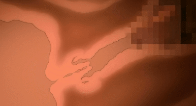 hentai-animeg:   