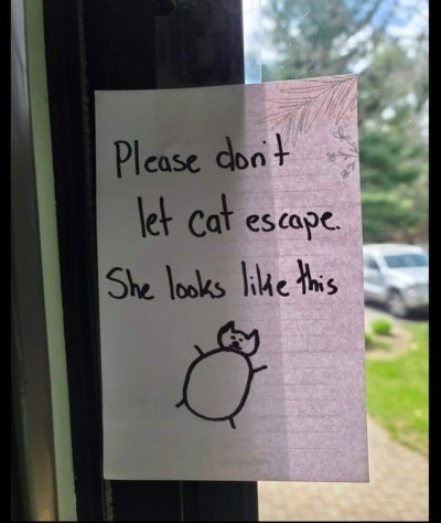 catasters: