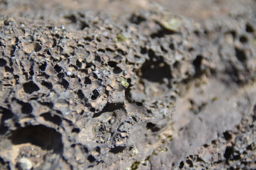 hikereyes: THE YEAR IN REVIEW - Dec. 16, 2014 - green specs of olivine in a matrix of basalt at Kil