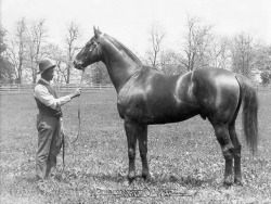 racinglegends:  Man O’ War and Will Harbut. Photo: X  Big red