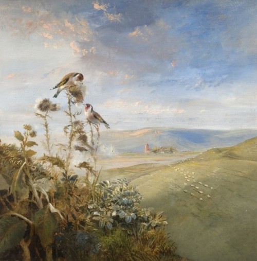 Samuel Lucas (1805 - 1870) - Goldfinches on a Thistle. Oil on canvas.