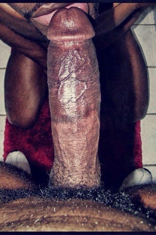 thebipage:  Giving and receiving head is great on both ends 👅💦