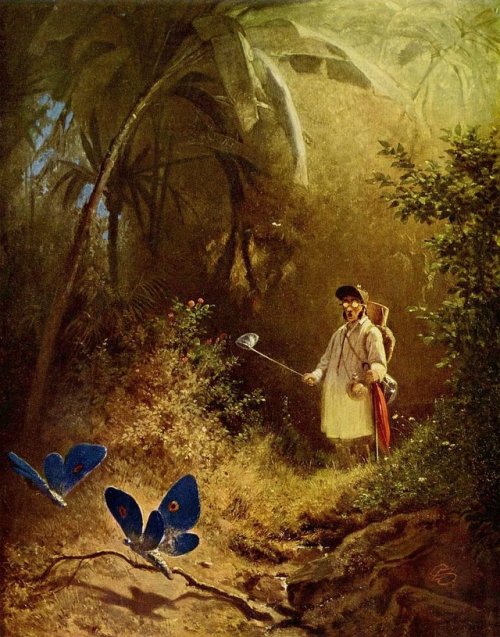 thelongvictorian: The butterfly hunter [Der Schmetterlingsjäger] (1840) by Carl Spitzweg (Germa
