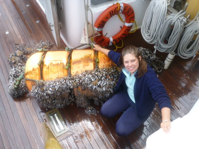 barnacles biologist gooseneck