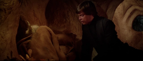 jaimelannister: grampasimpson: this is my favourite part of star wars because this is exactly how i 