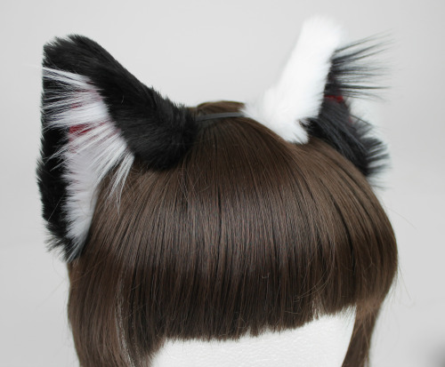 kittensplaypenshop:demiguiselady:kittensplaypenshop:Some of our mismatched ears &lt;3I love the mism