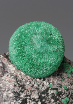 bijoux-et-mineraux:  Malachite - Mapimi,