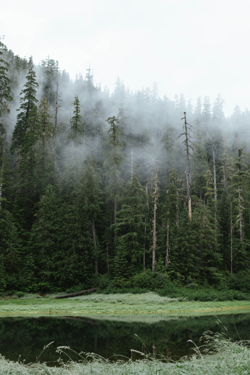 Traveling Fog