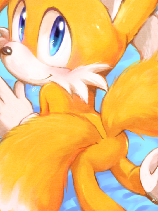 misterkanzaki:Tails  doodles