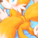 misterkanzaki:Tails  doodles