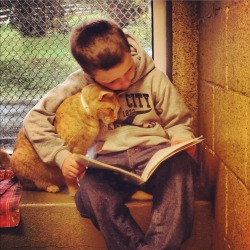  Icatmeme: My Local Rescue Has A Program Called Book Buddies Where Kids Read To Sheltered
