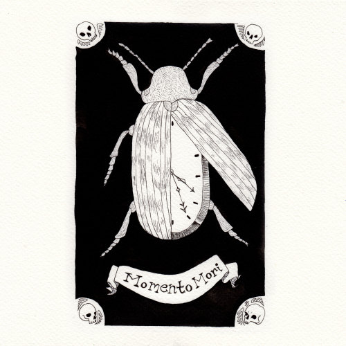 8. WatchA little illustration of a death watch beetle (Xestobium rufovillosum) who is also a pocket 