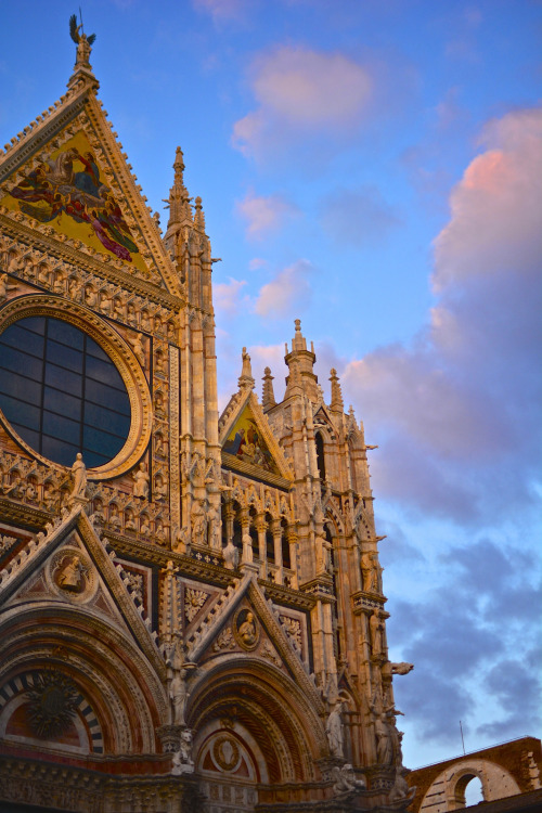 XXX malcolmxing:  Cathedral di Siena  photo