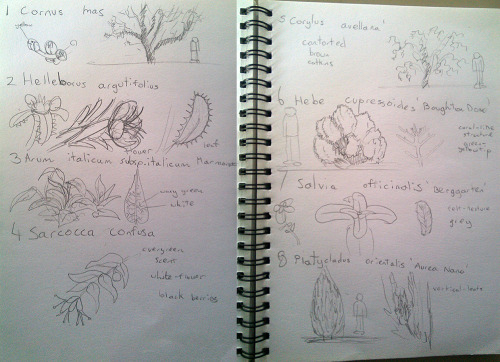 Porn Instead of just taking notes during my plant photos