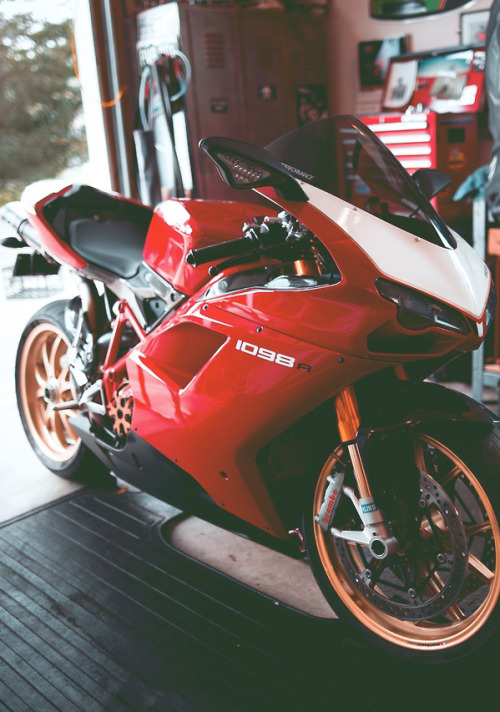 lux-society: Ducati | source