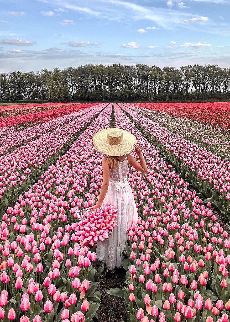 coiour-my-world:
“Lisse, Netherlands | polabur
”