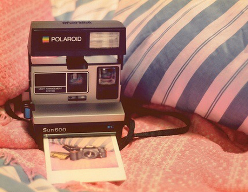 POLAROID | More Cute, Cool, Funny, Gorgeous, Awesome Blogs on worldofweirds.tumblr.com