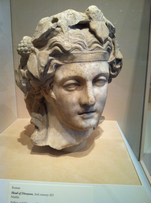 arcanacat:For all my Hellenic loving people I give you, courtesy of my local art museum, the face of