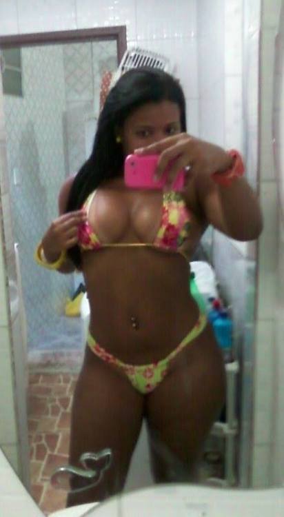 GATAS DO BRASIL