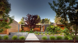 archatlas:  Residence in Los Altos     Designed by Bohlin Cywinski Jackson around an existing Japanese maple tree—a vestige of the previous landscape and the relationship shared between residence and site—the house takes full advantage of the Silicon