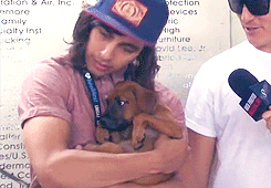 damnedcoffee:  I wish I was that freaking puppy… 
