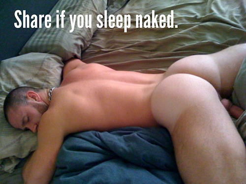 freshie:  Attempting to curate the best of tumblr one reblog at a time…