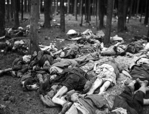 bag-of-dirt:  The corpses of inmates from Lambach concentration camp (a sub-camp of Mauthausen-Gusen concentration camp) are removed from the camp by German soldiers under order of U.S. troops and await burial. Lambach concentration camp held some 18,000