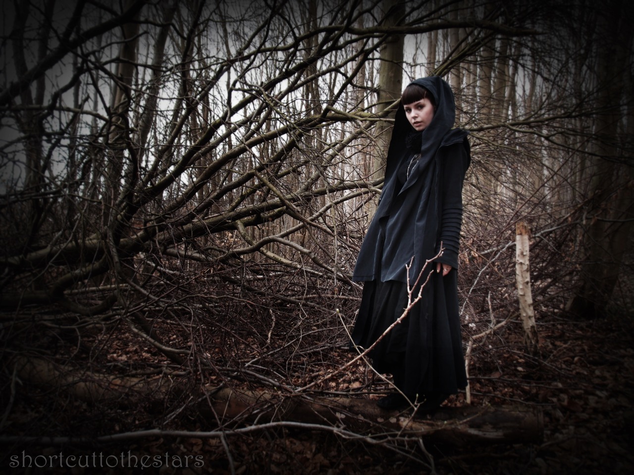 shortcuttothestars:More epic edits from today’s forest walk &lt;3