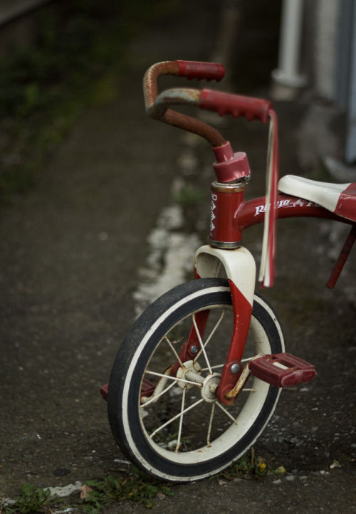 lifeofshralp: Radio Flyer